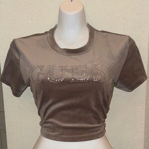 Guess Chocolate Velvet Short Sleeve Tee